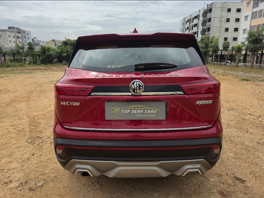 Hector image 4 Hector image 4