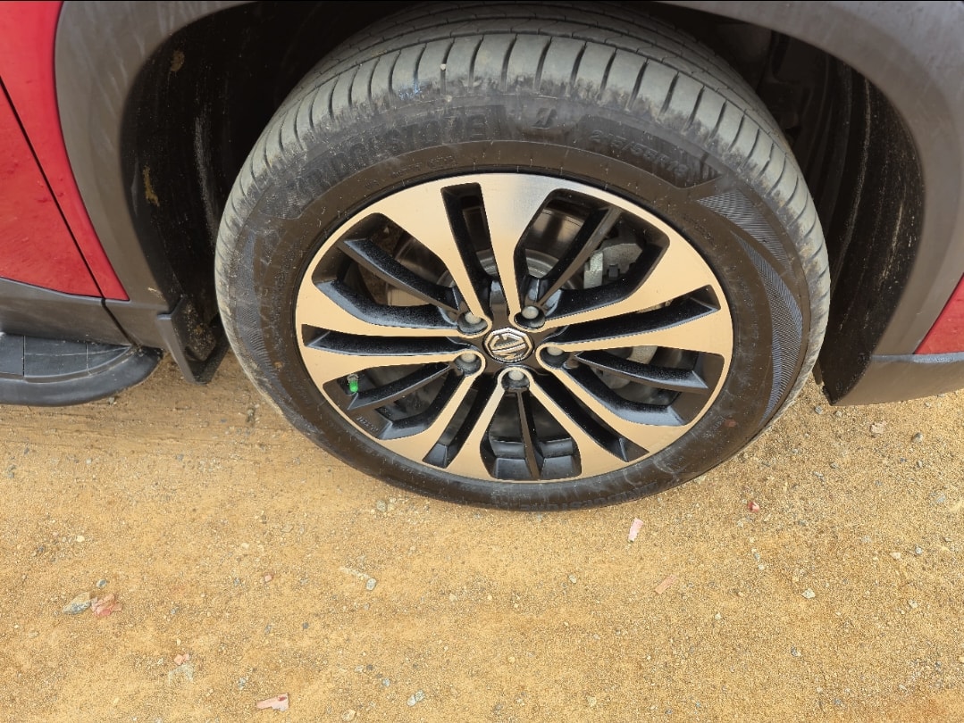 Hector image 9 Hector image 9