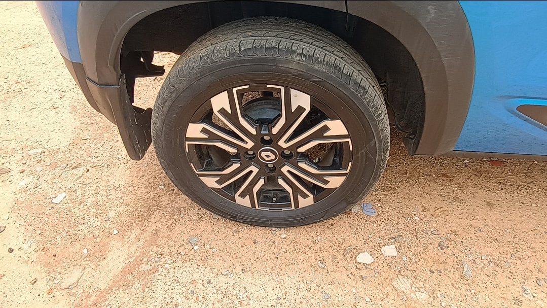 Kiger image 17 Kiger image 17