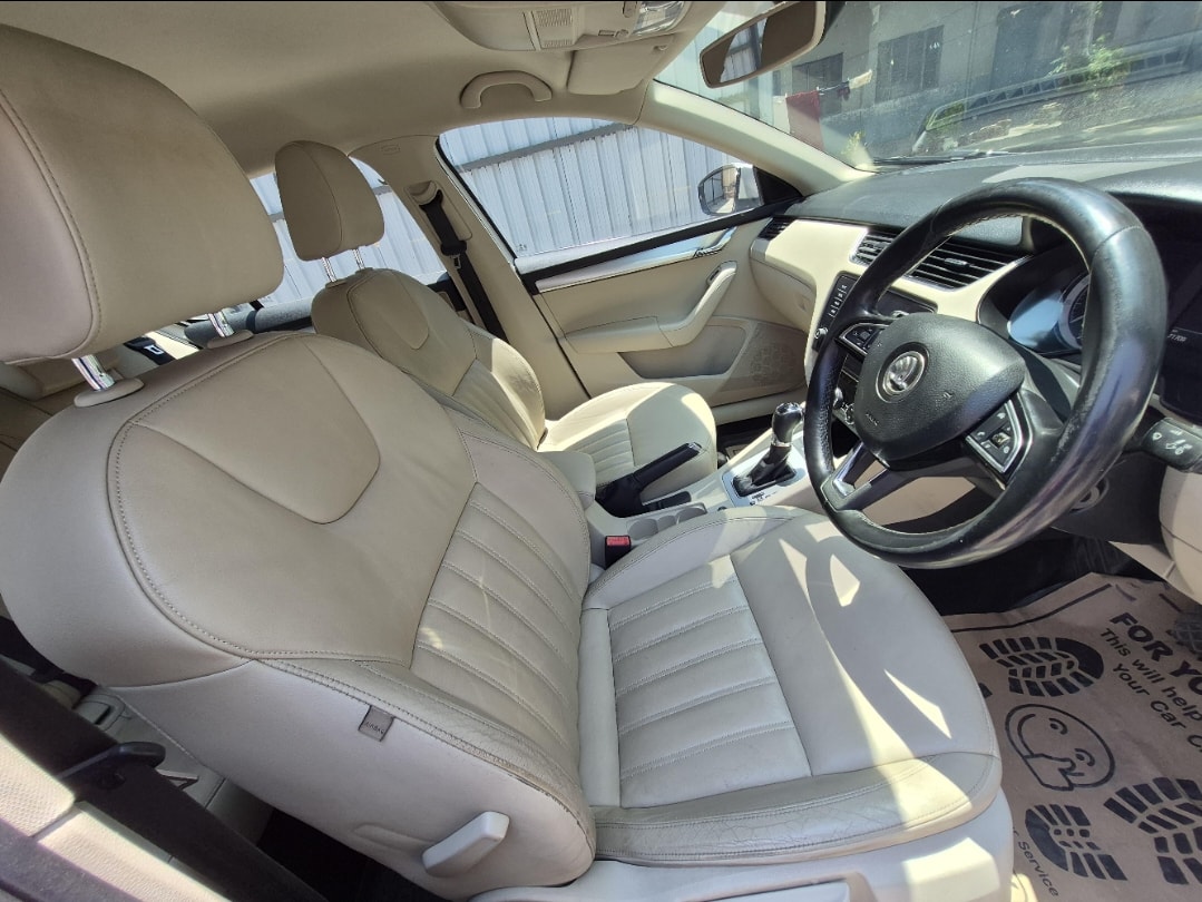 Octavia image 14 Octavia image 14