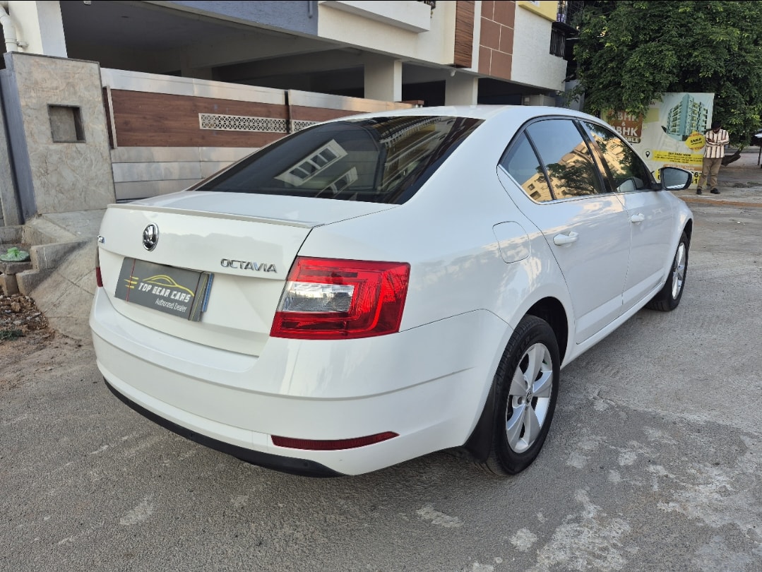 Octavia image 5 Octavia image 5