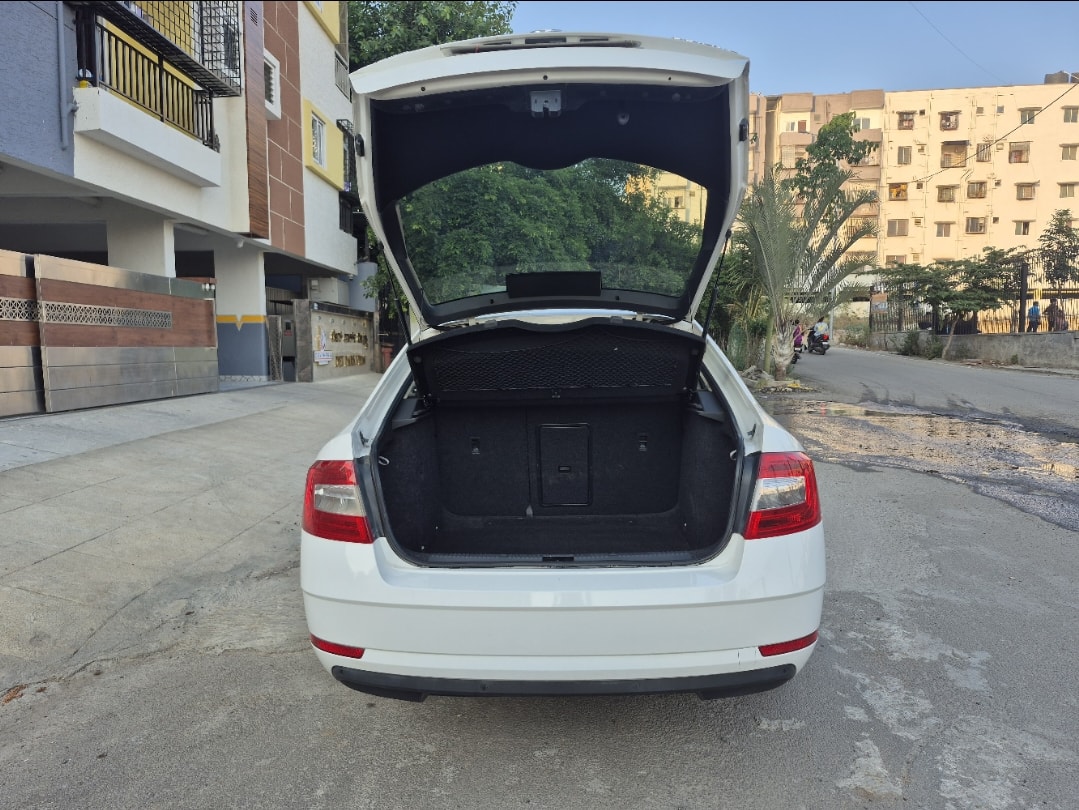 Octavia image 10 Octavia image 10