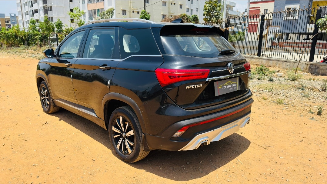 Hector image 3 Hector image 3