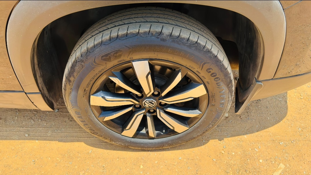 Hector image 9 Hector image 9