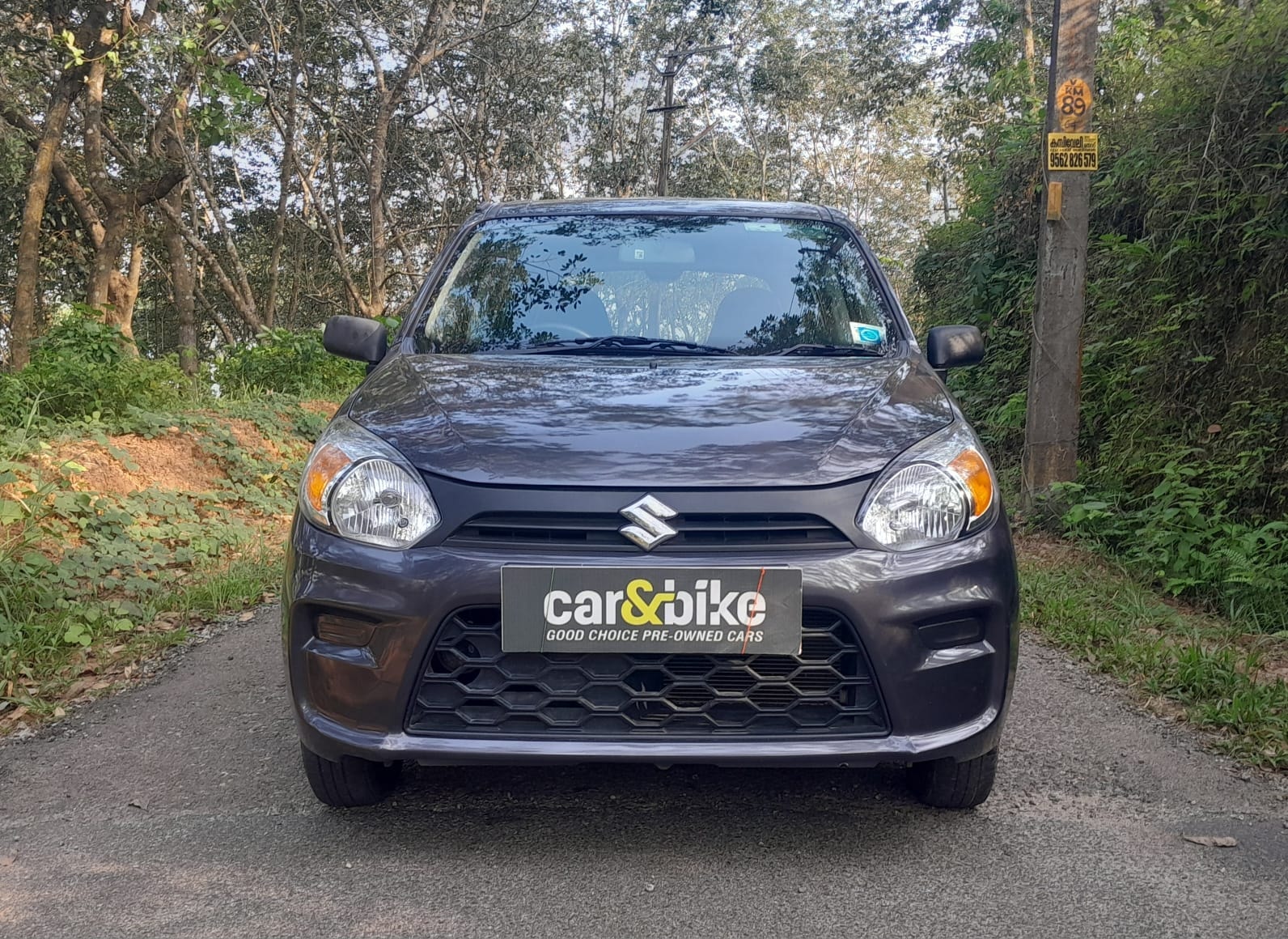 Alto image 8 Alto image 8