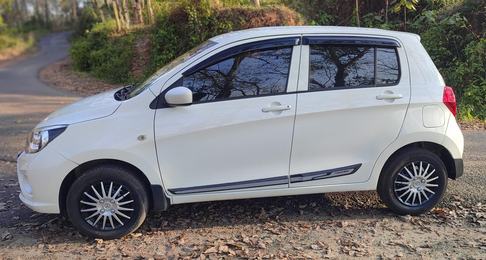 Celerio image 2 Celerio image 2