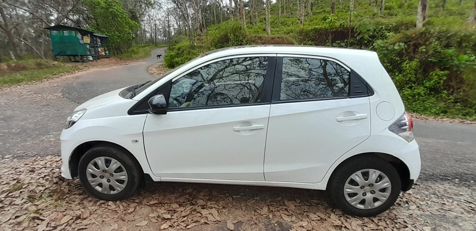 Brio image 2 Brio image 2