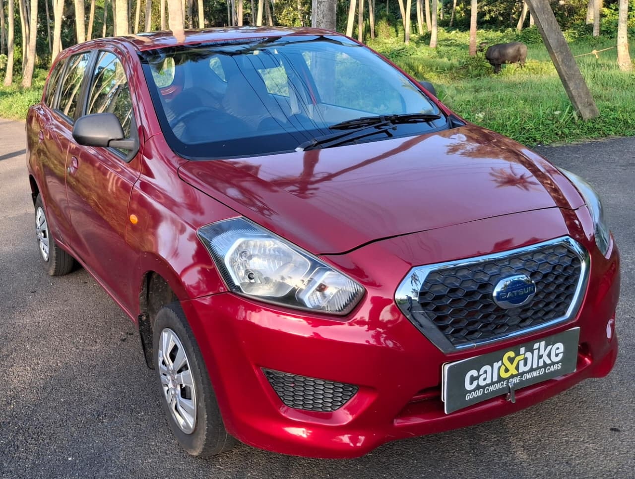 Go Plus image 7 Go Plus image 7