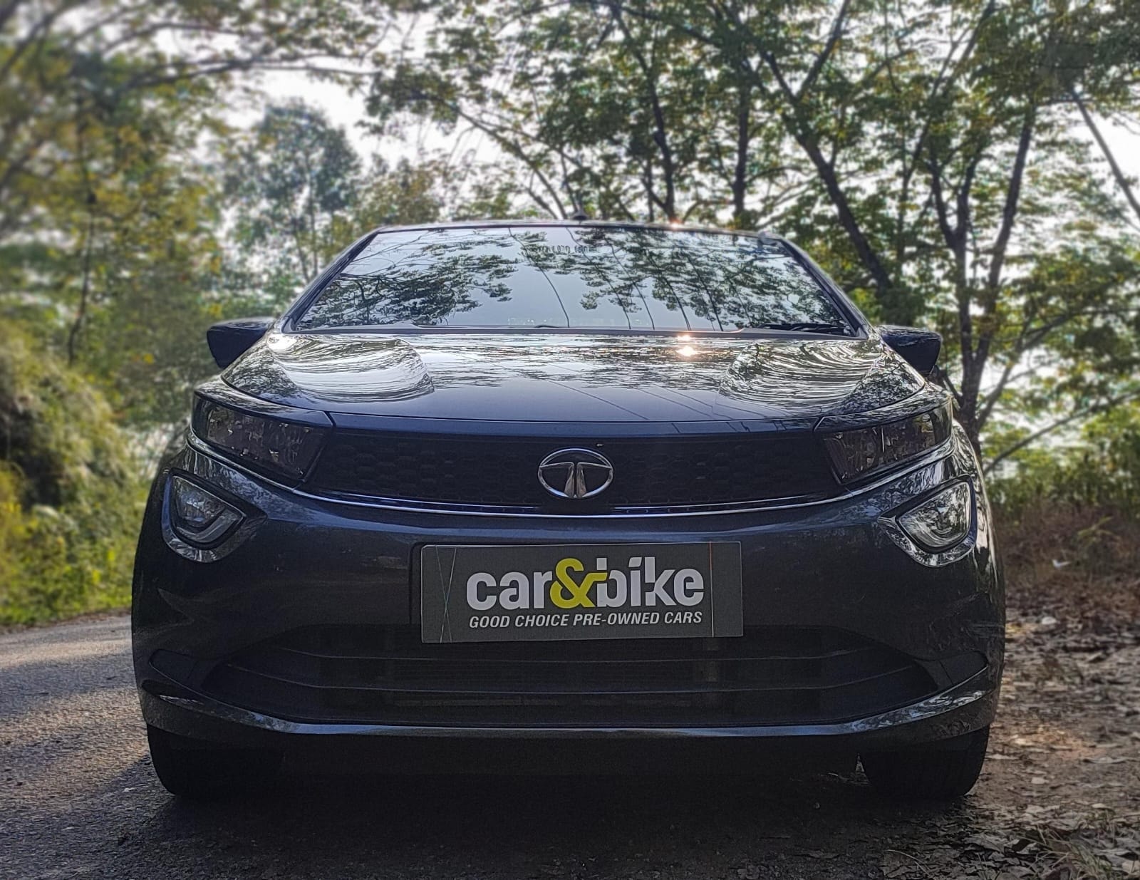 Altroz image 8 Altroz image 8