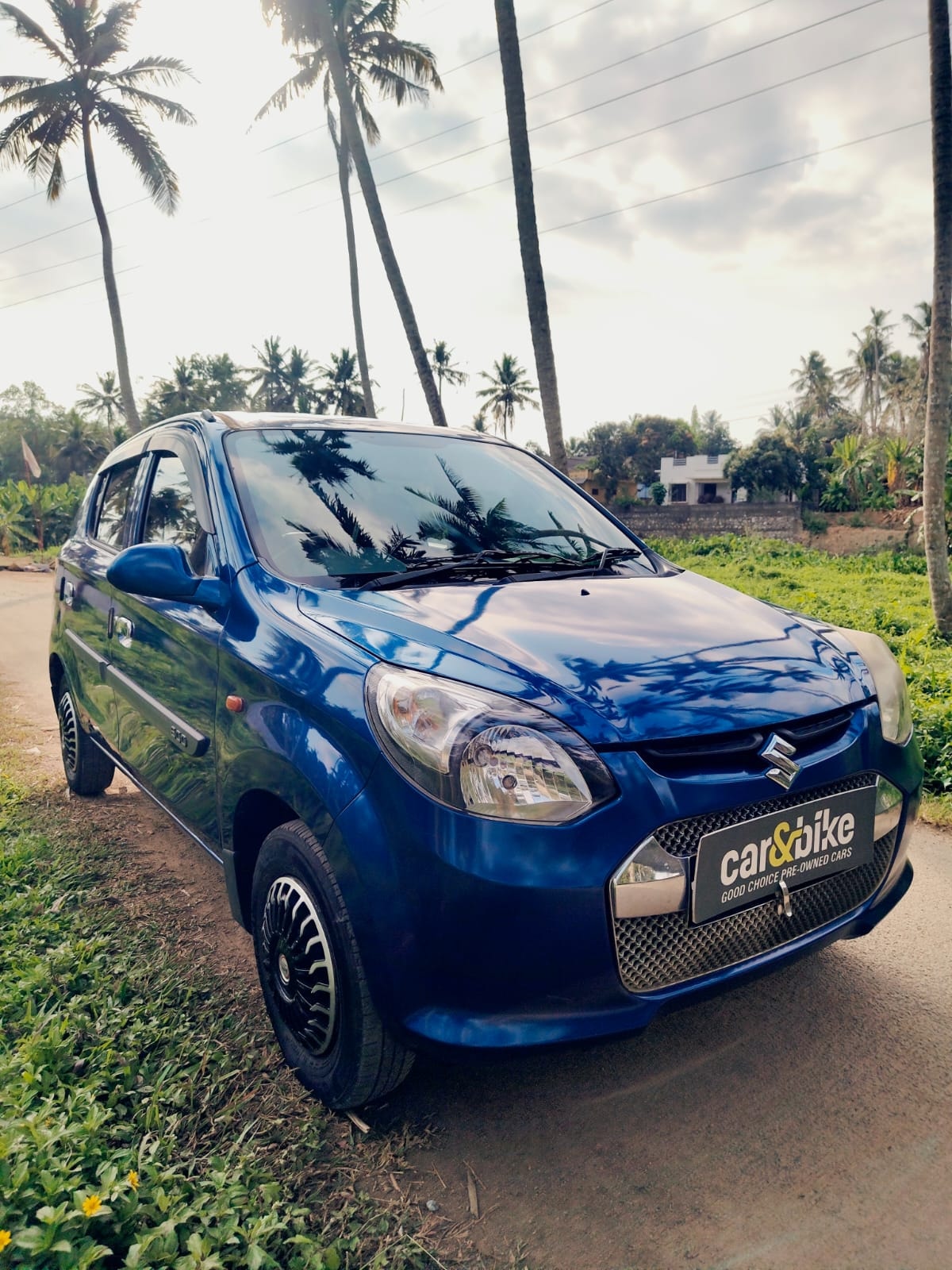 Alto 800 image 7 Alto 800 image 7