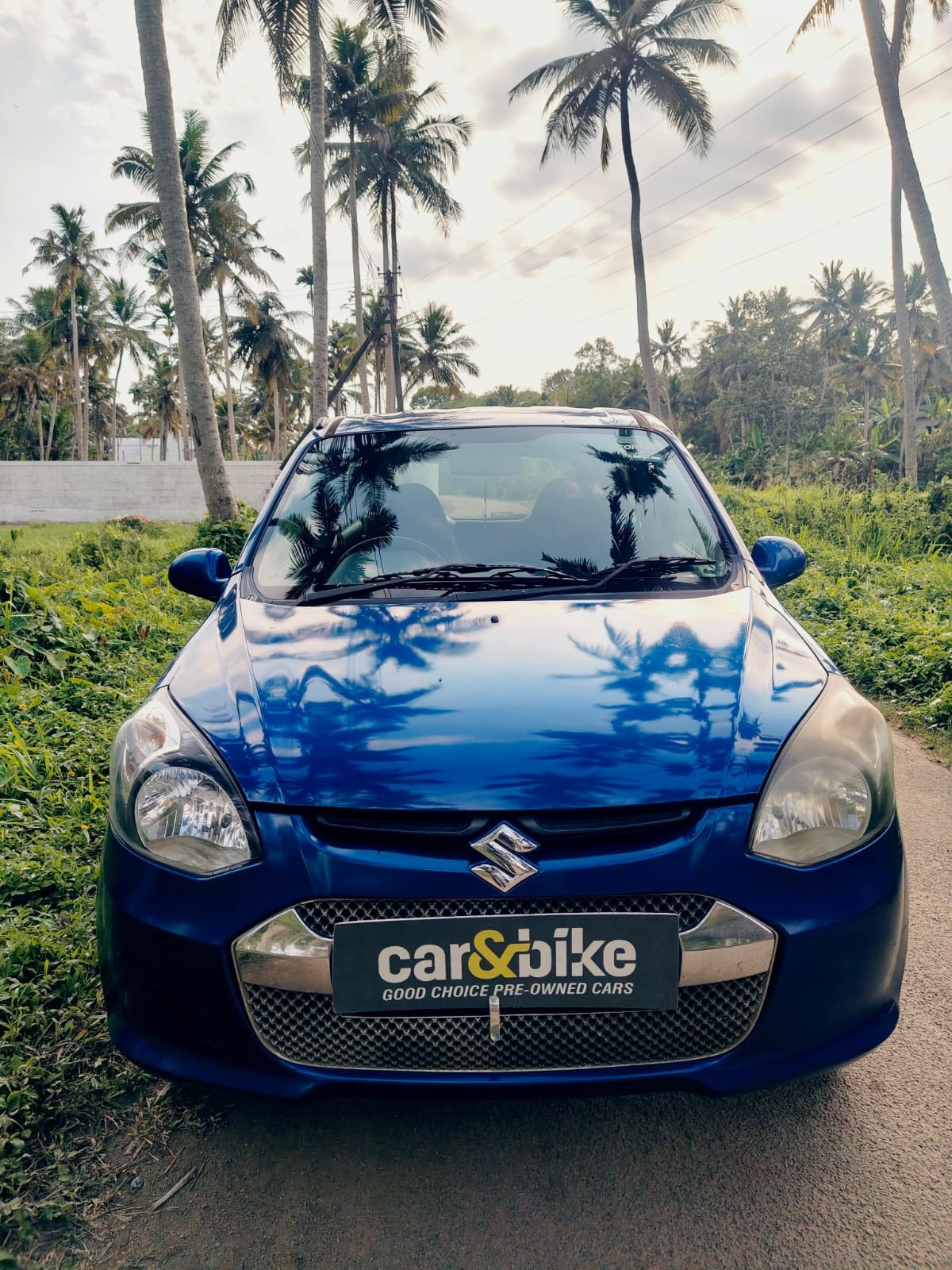 Alto 800 image 8 Alto 800 image 8