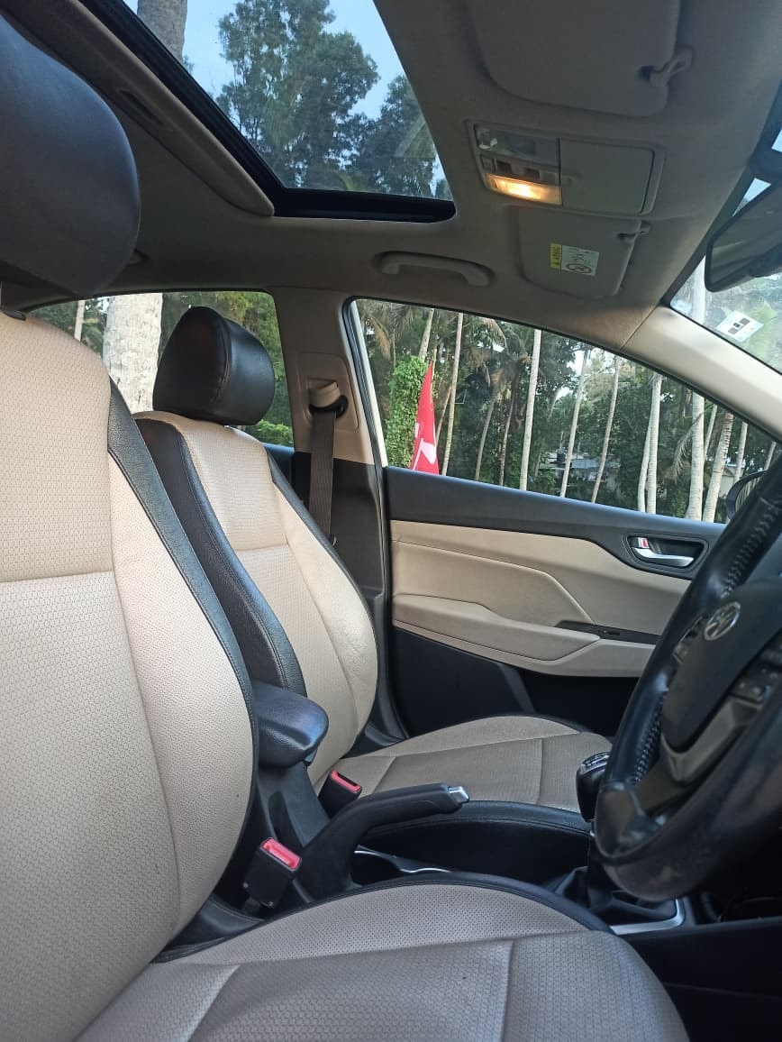 Verna image 16 Verna image 16