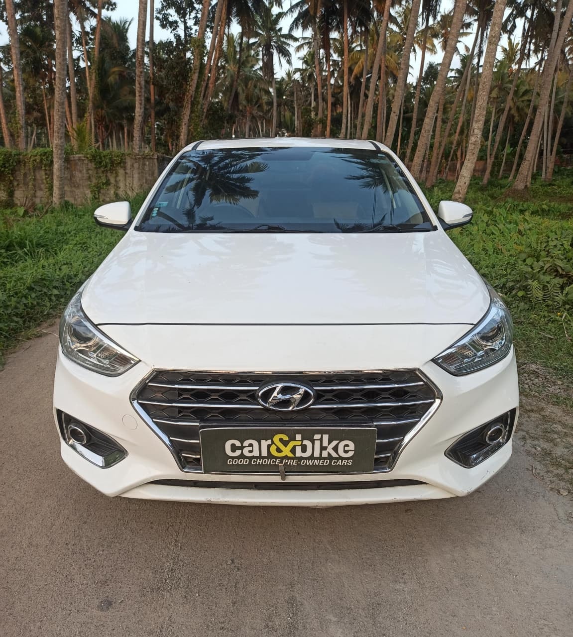 Verna image 8 Verna image 8