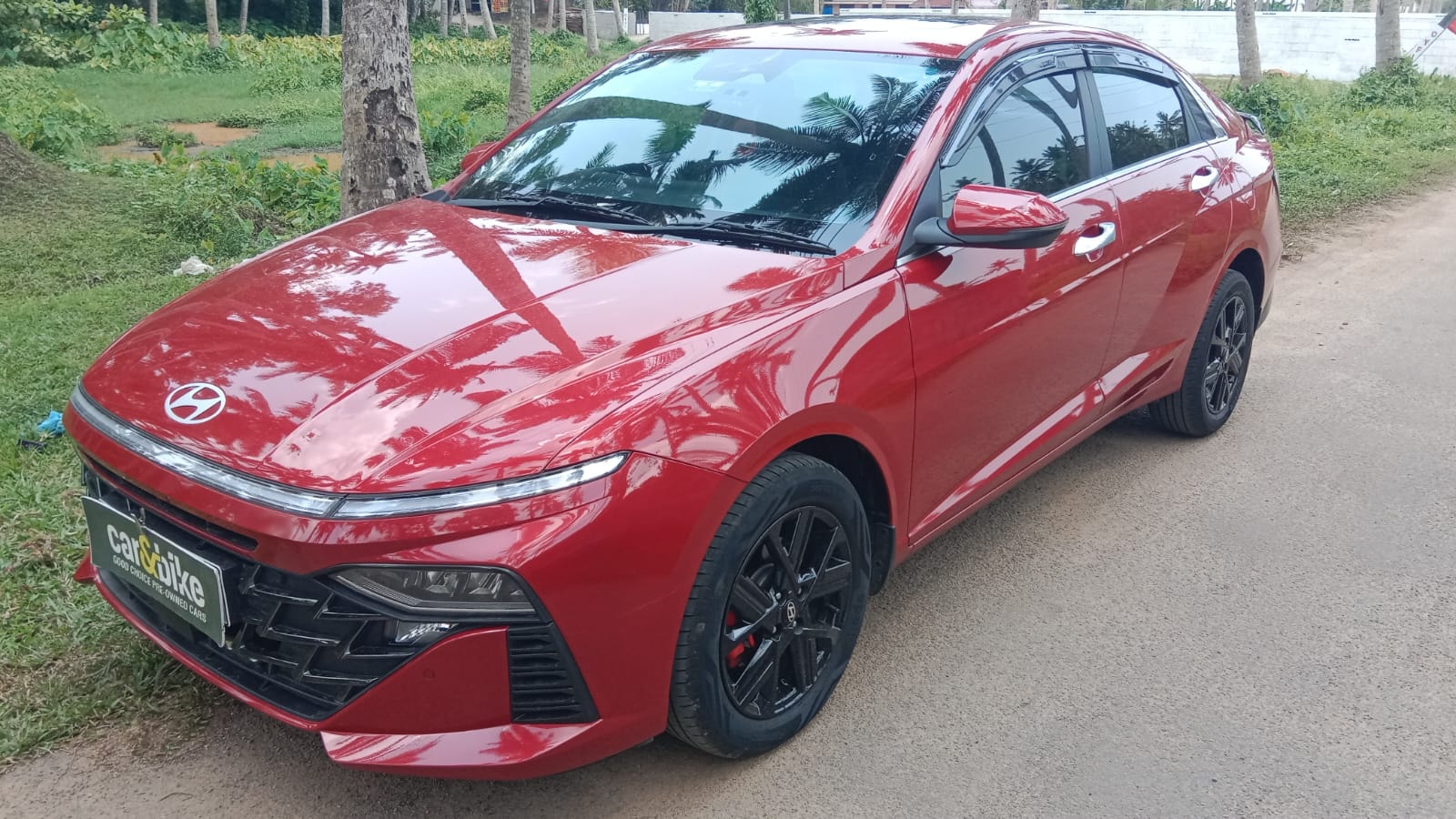 Verna image 1 Verna image 1