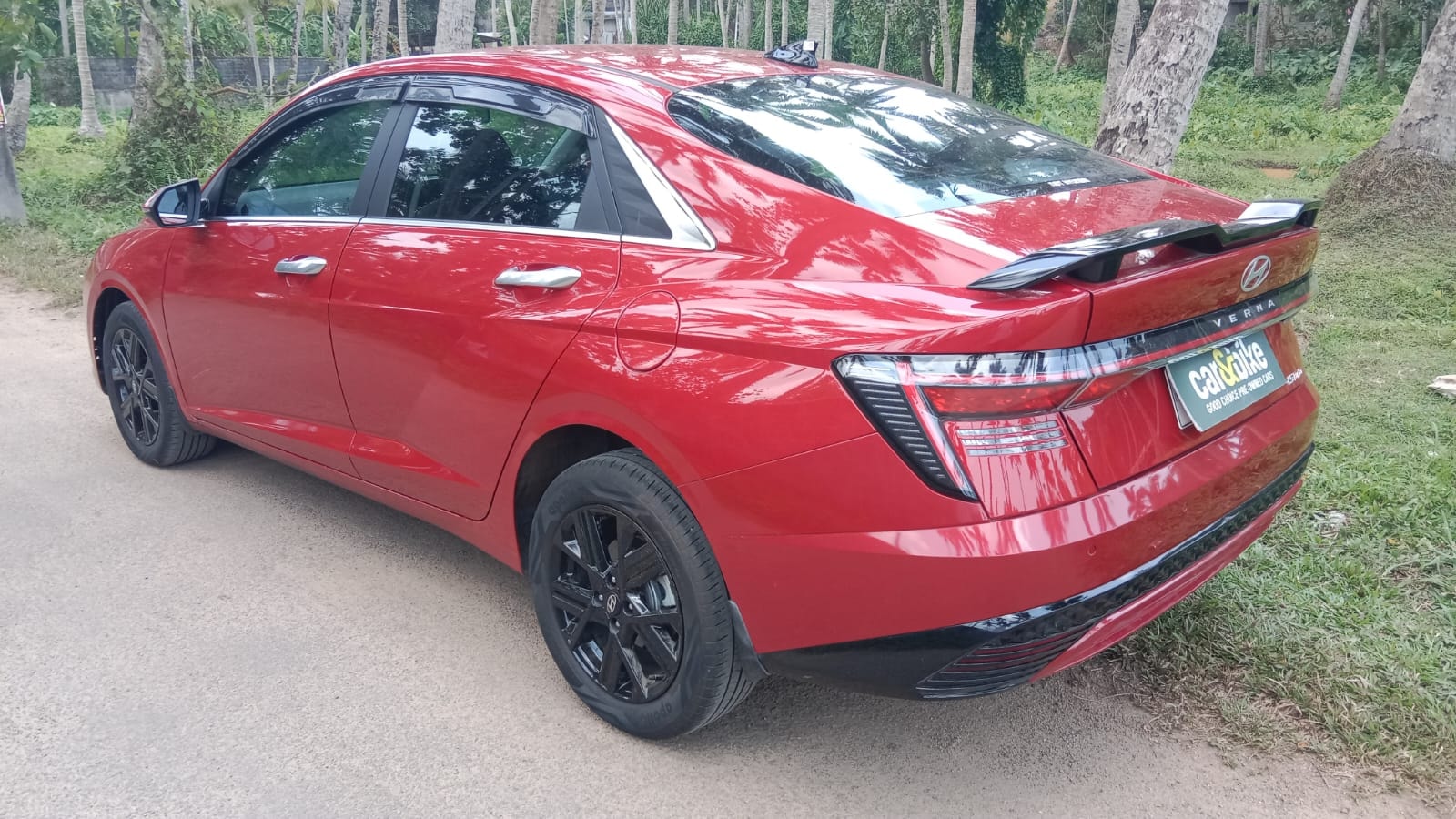 Verna image 3 Verna image 3