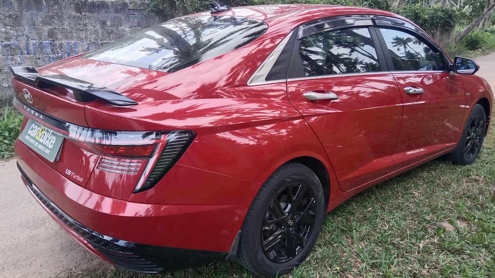 Verna image 5 Verna image 5