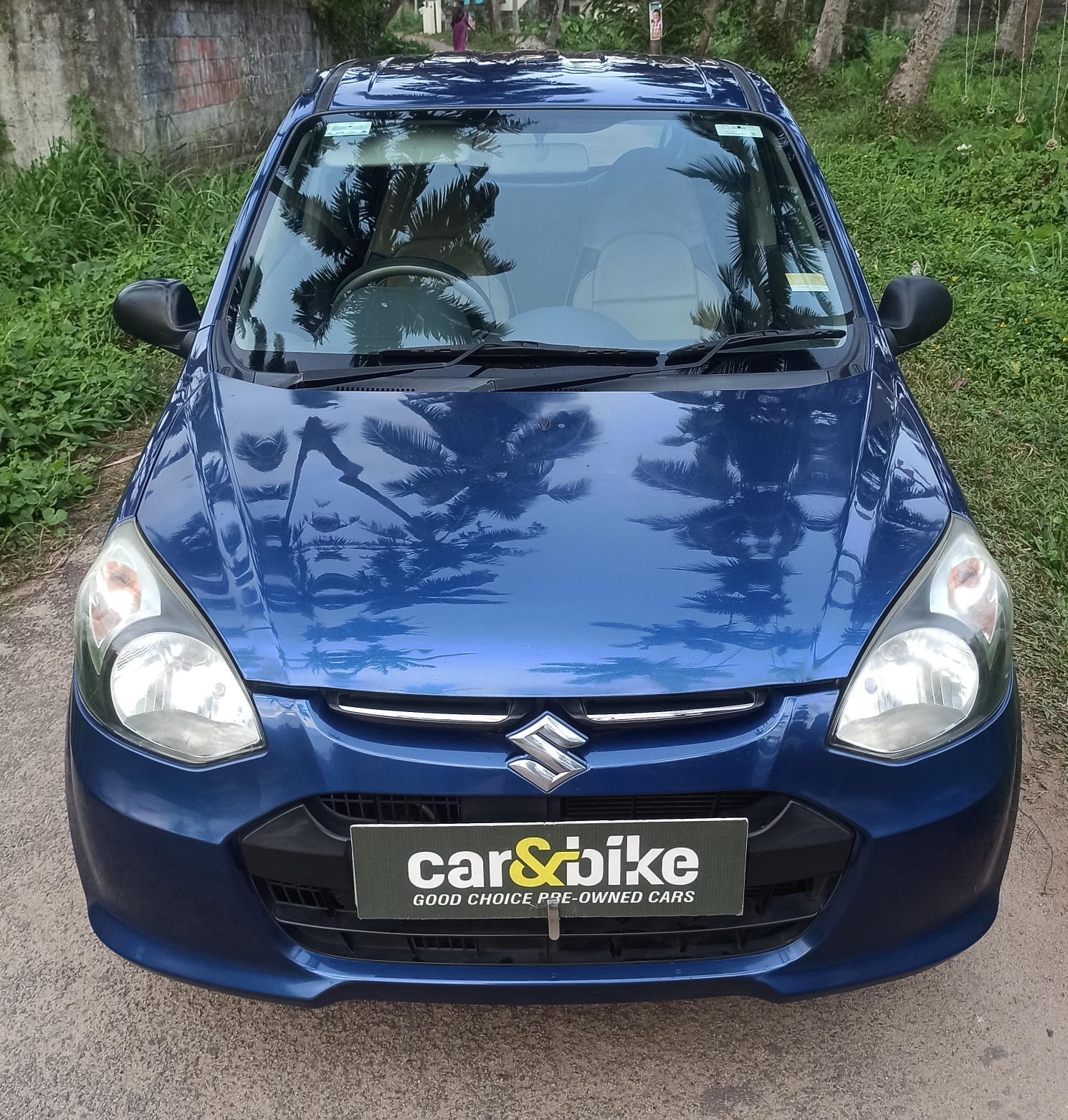 Alto 800 image 8 Alto 800 image 8