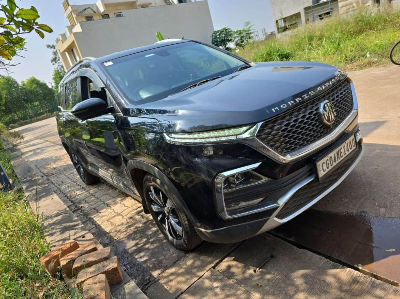 Hector image 3 Hector image 3