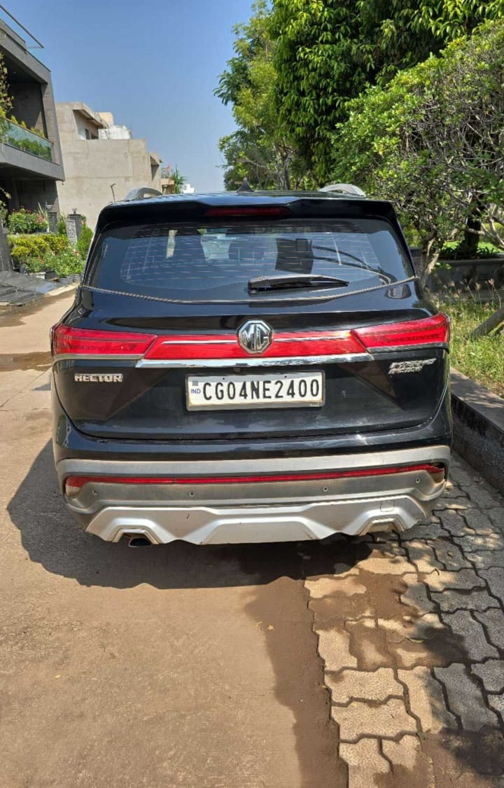 Hector image 2 Hector image 2