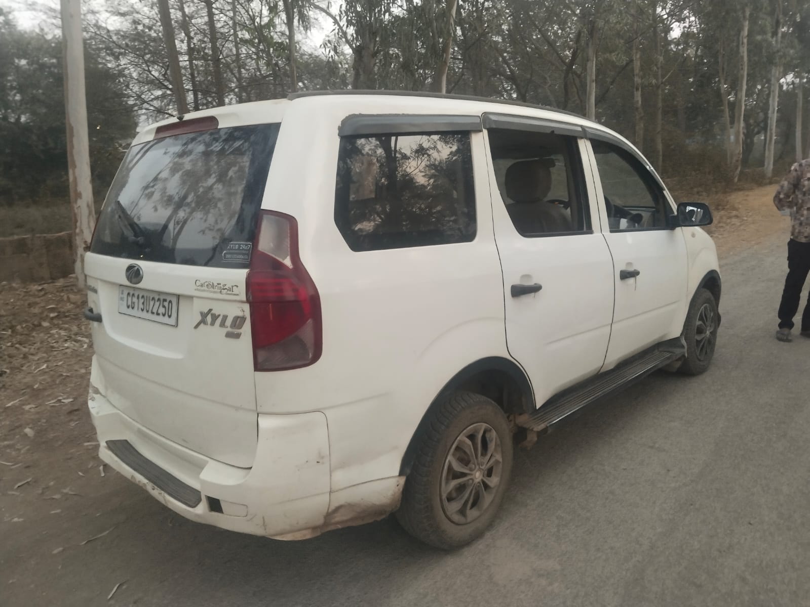 Xylo image 5 Xylo image 5