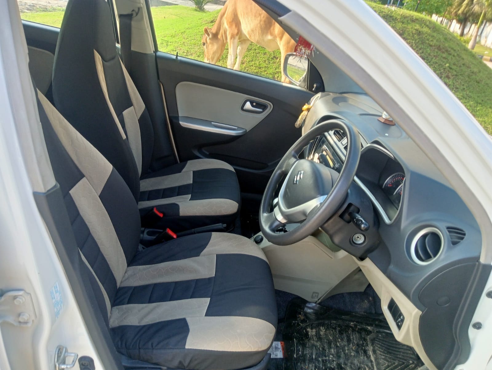 Alto K10 image 12 Alto K10 image 12