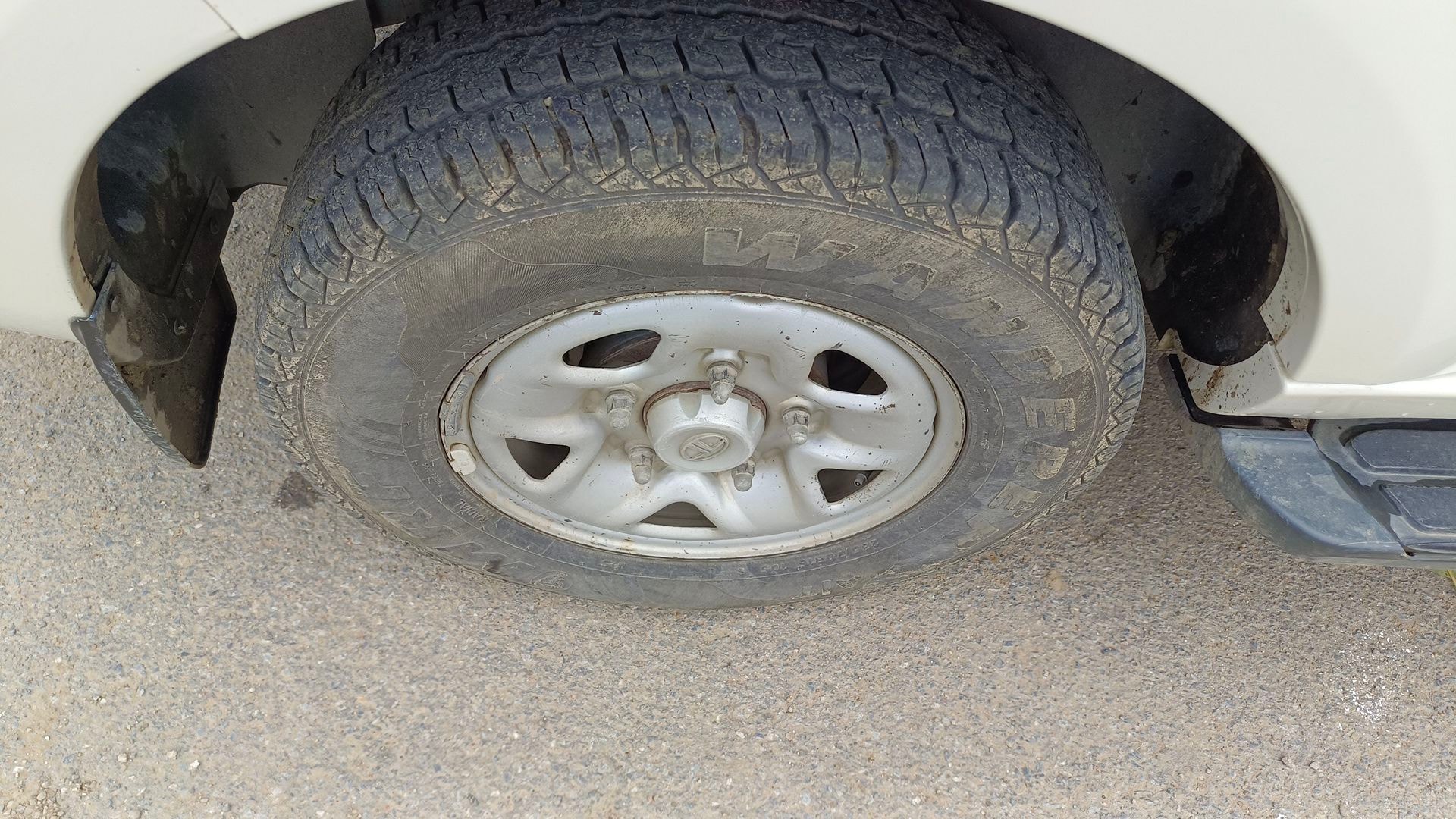 Safari Storme image 5 Safari Storme image 5