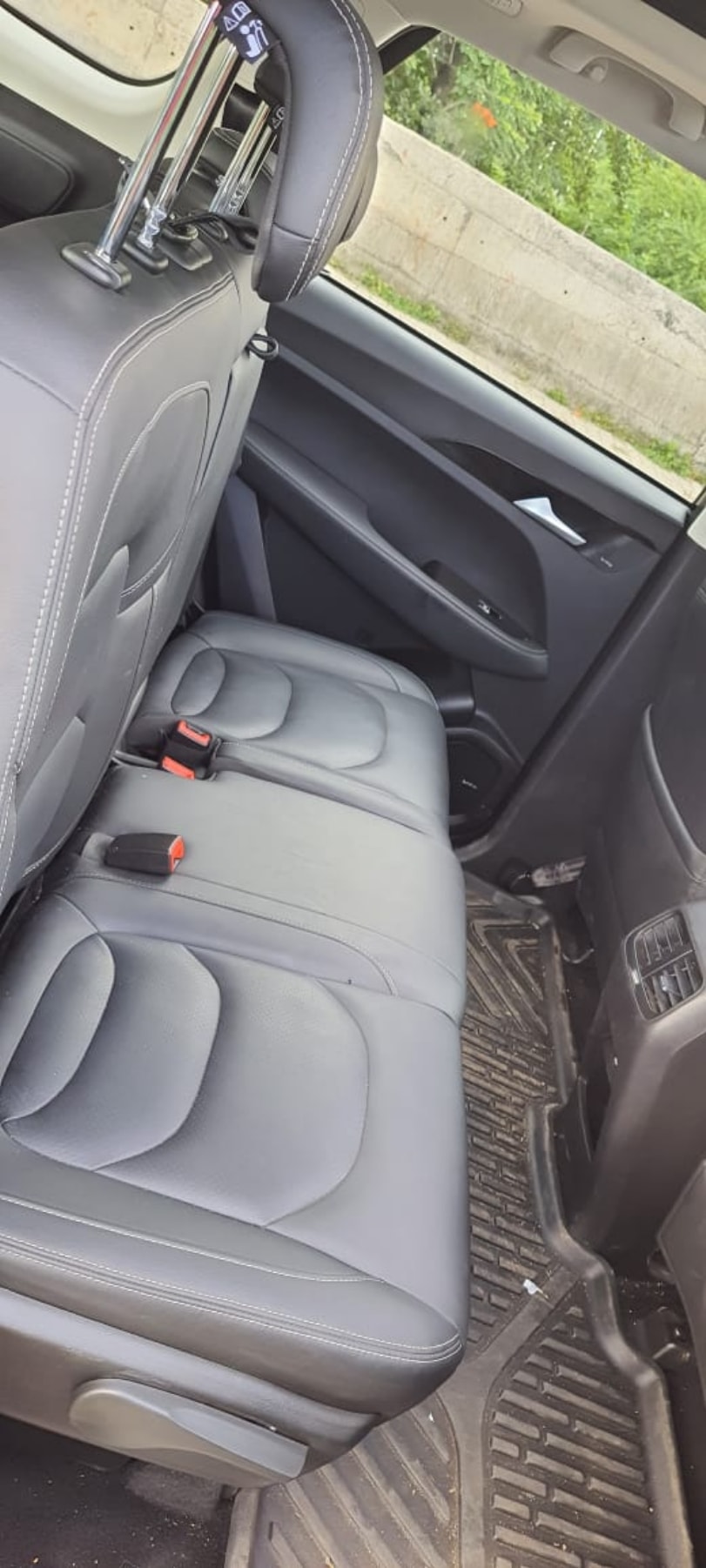 Hector image 2 Hector image 2