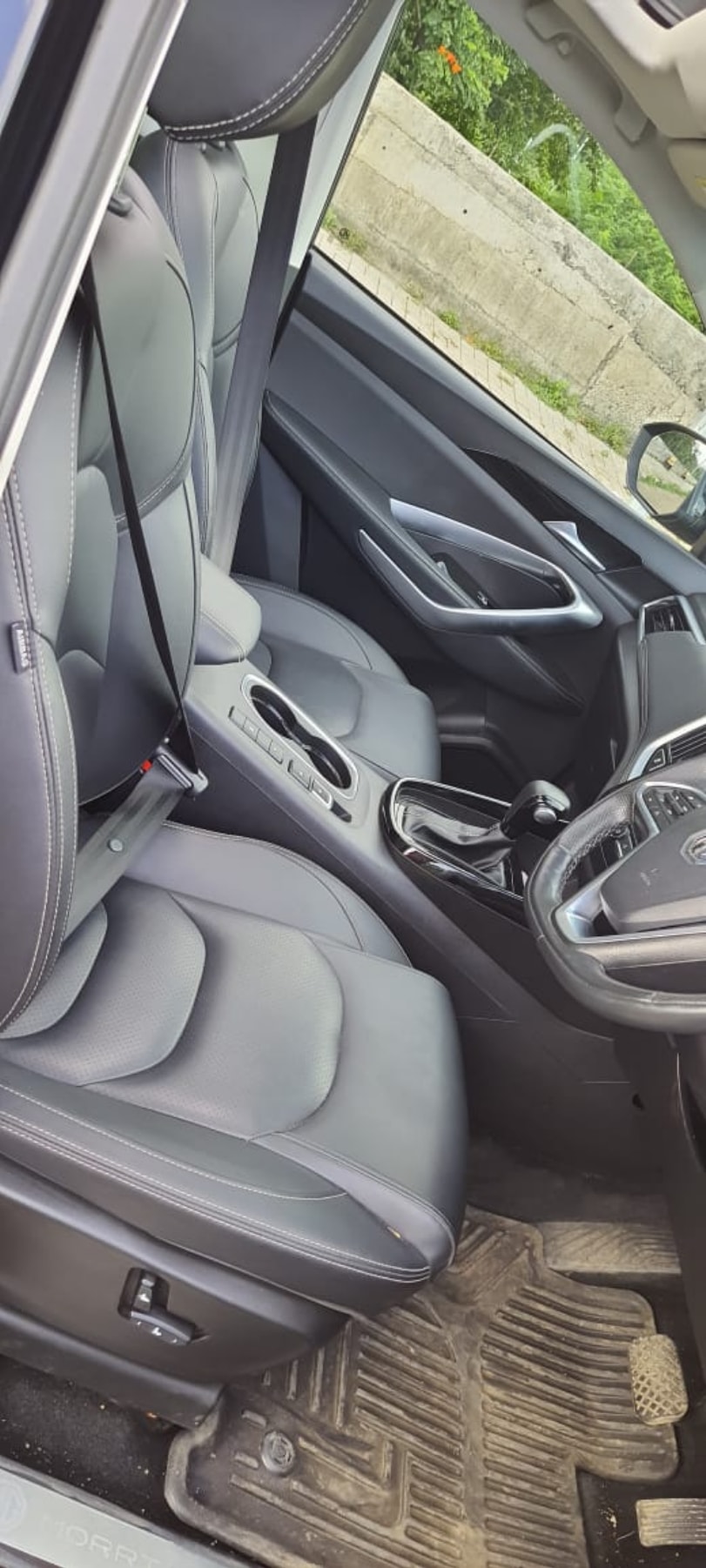 Hector image 5 Hector image 5