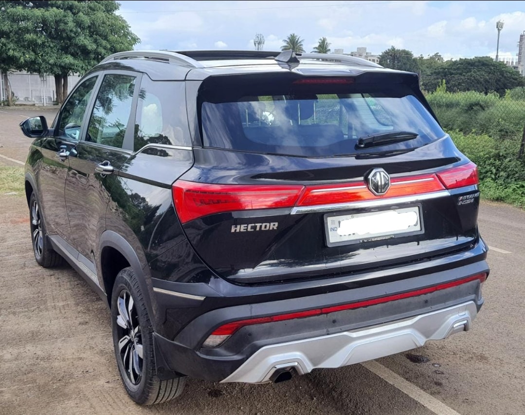 Hector image 10 Hector image 10