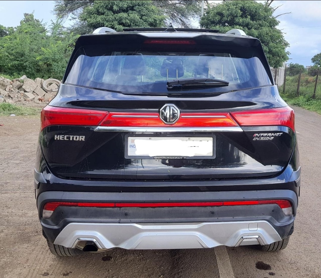 Hector image 11 Hector image 11