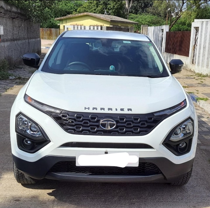 Harrier image 6 Harrier image 6