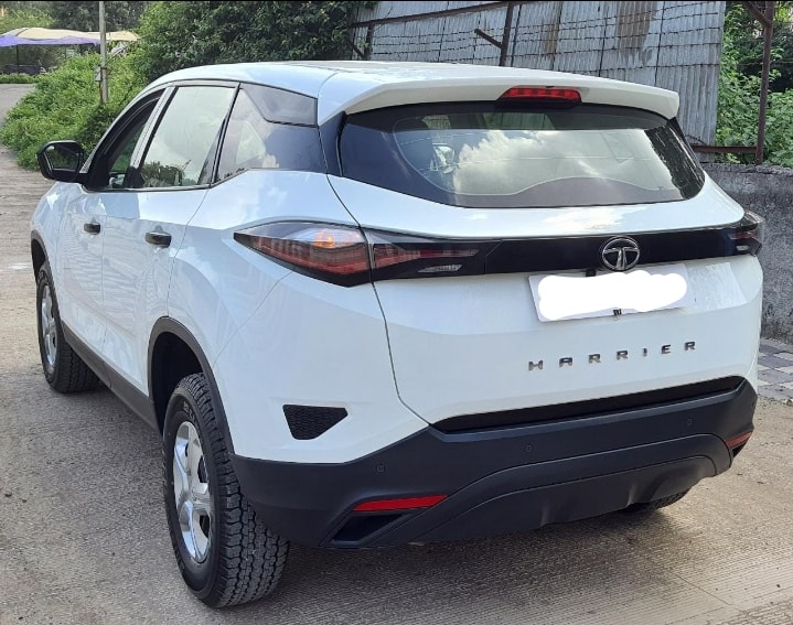 Harrier image 9 Harrier image 9