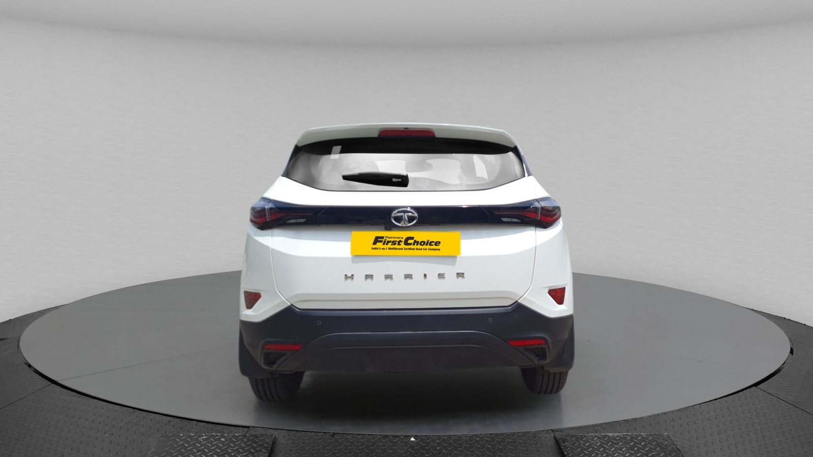 Harrier image 4 Harrier image 4