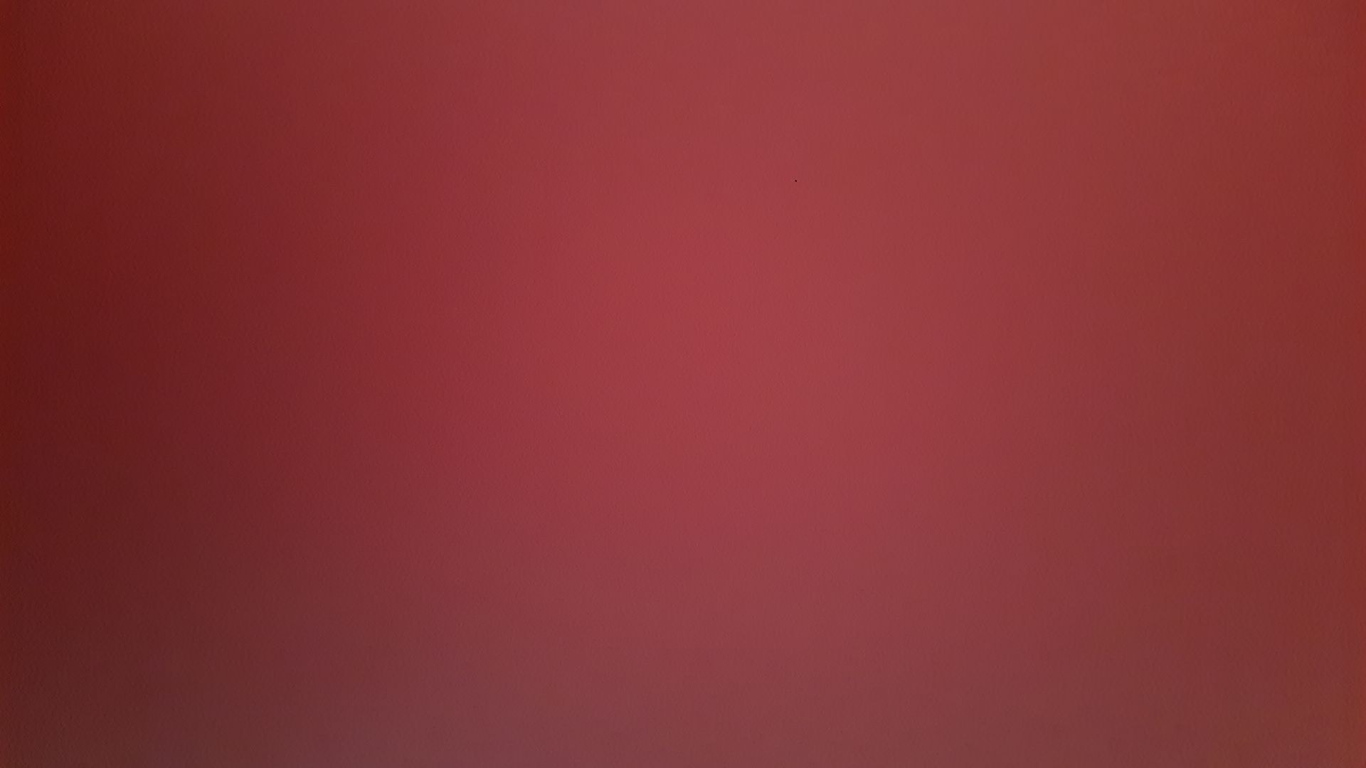 Harrier image 16 Harrier image 16