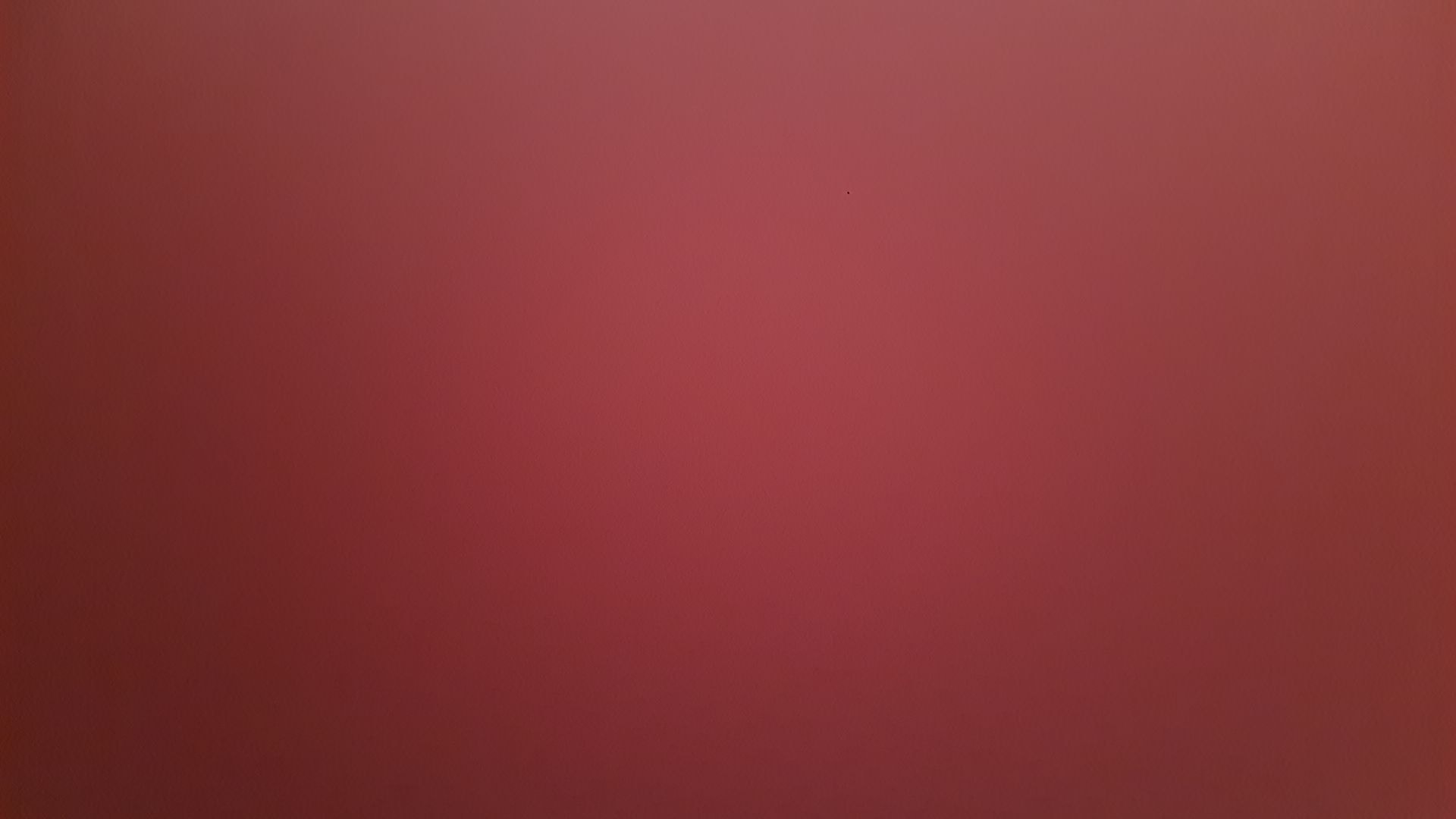 Harrier image 12 Harrier image 12