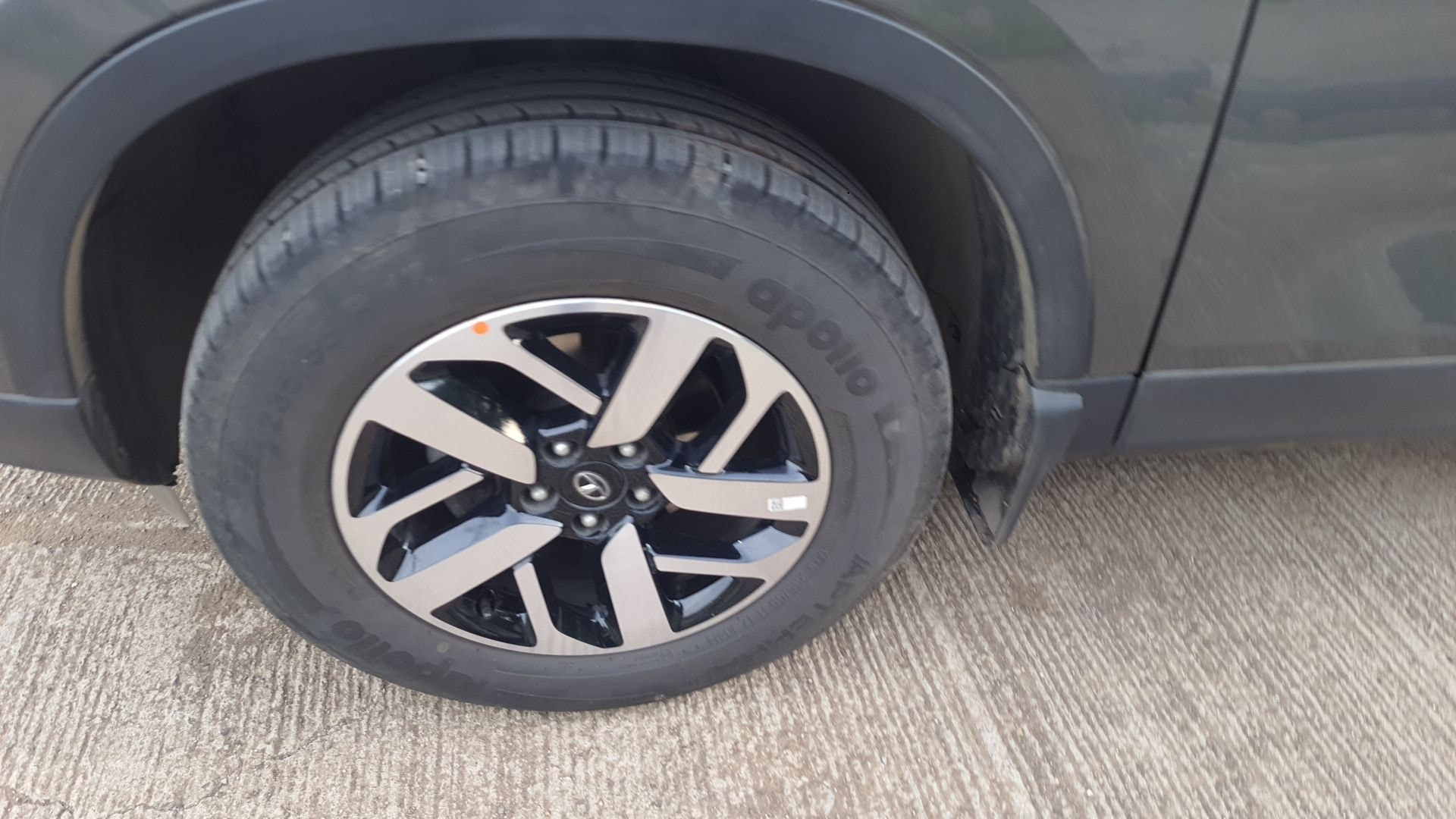 Harrier image 11 Harrier image 11