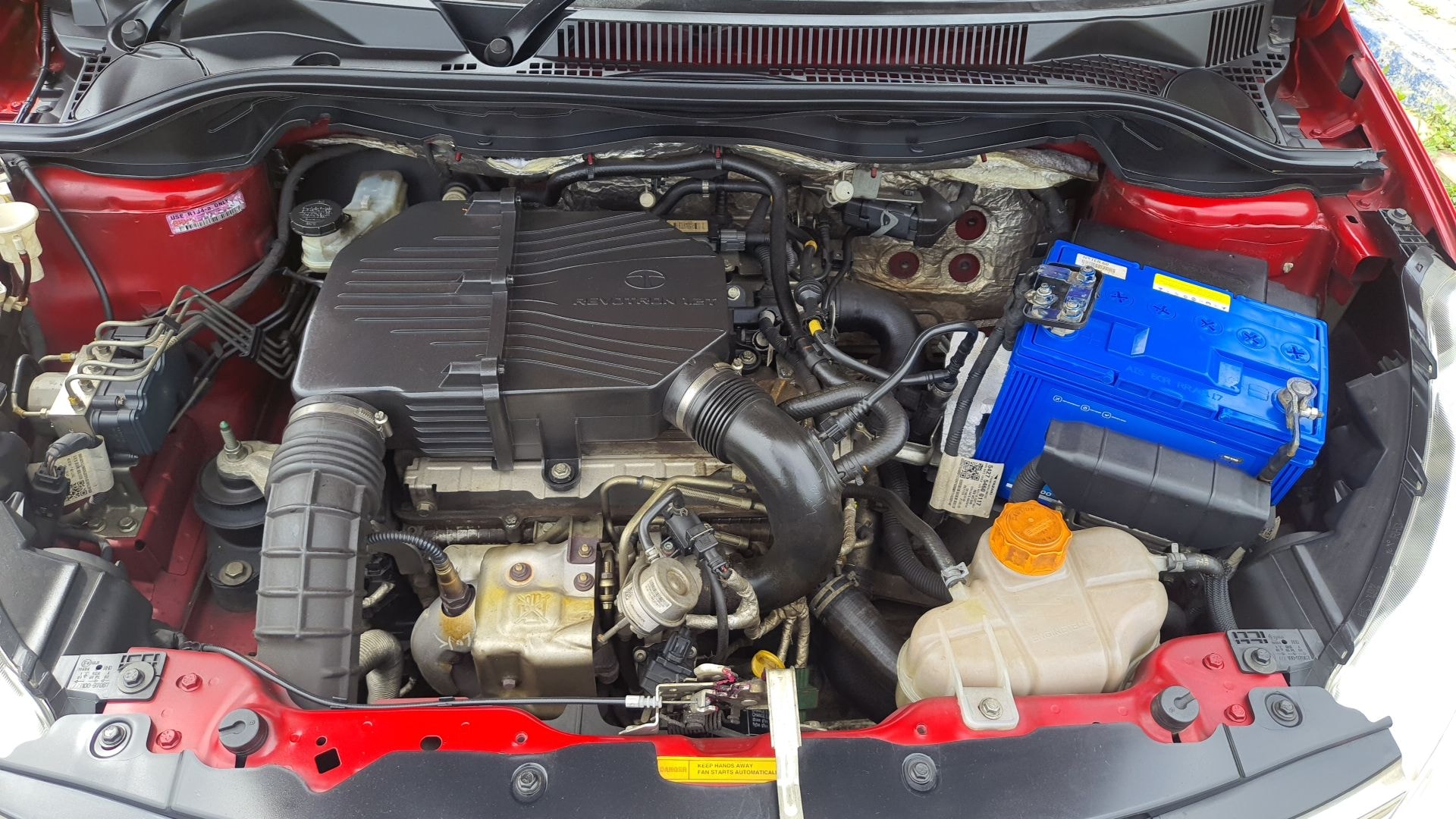 Zest image 13 Zest image 13