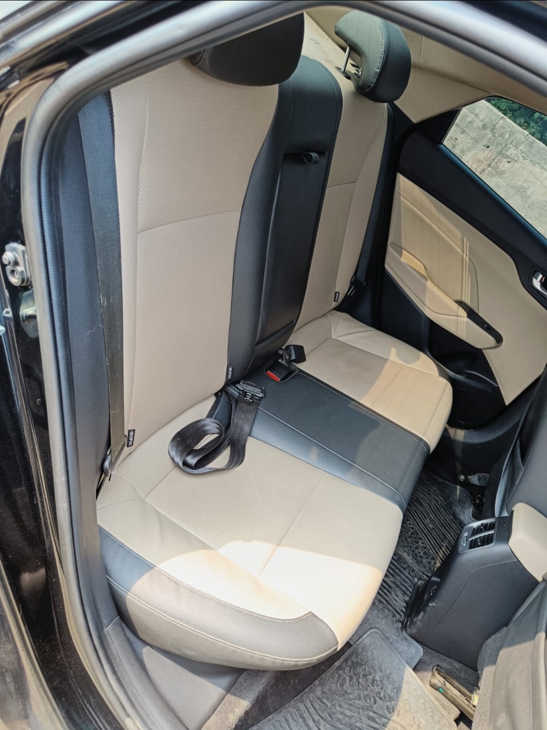 Verna image 12 Verna image 12