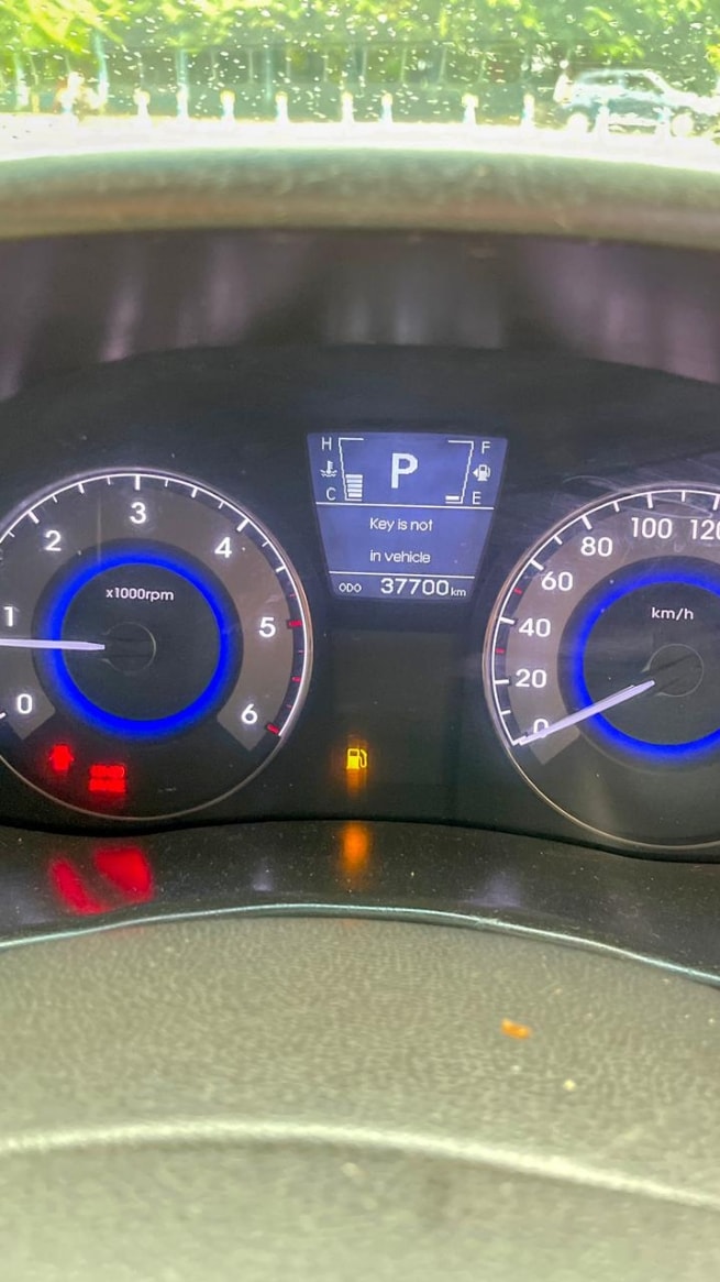 Verna image 11 Verna image 11