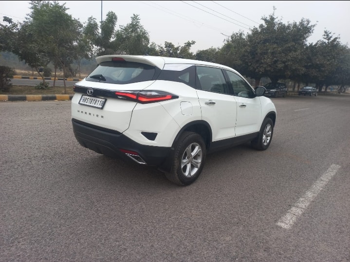 Harrier image 3 Harrier image 3