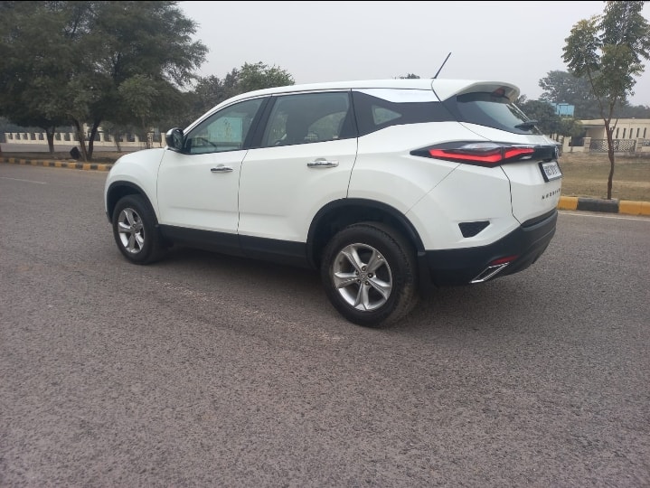 Harrier image 5 Harrier image 5