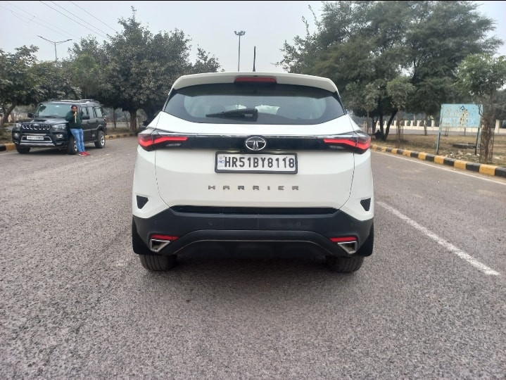 Harrier image 4 Harrier image 4