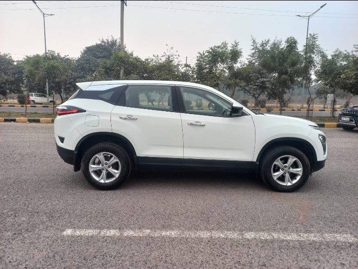 Harrier image 6 Harrier image 6