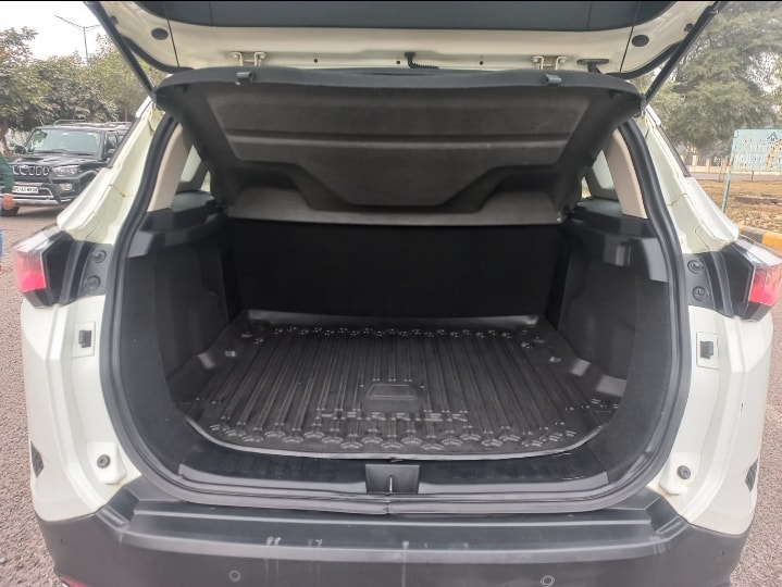 Harrier image 10 Harrier image 10