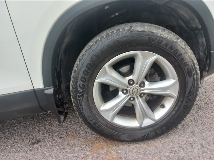 Harrier image 9 Harrier image 9