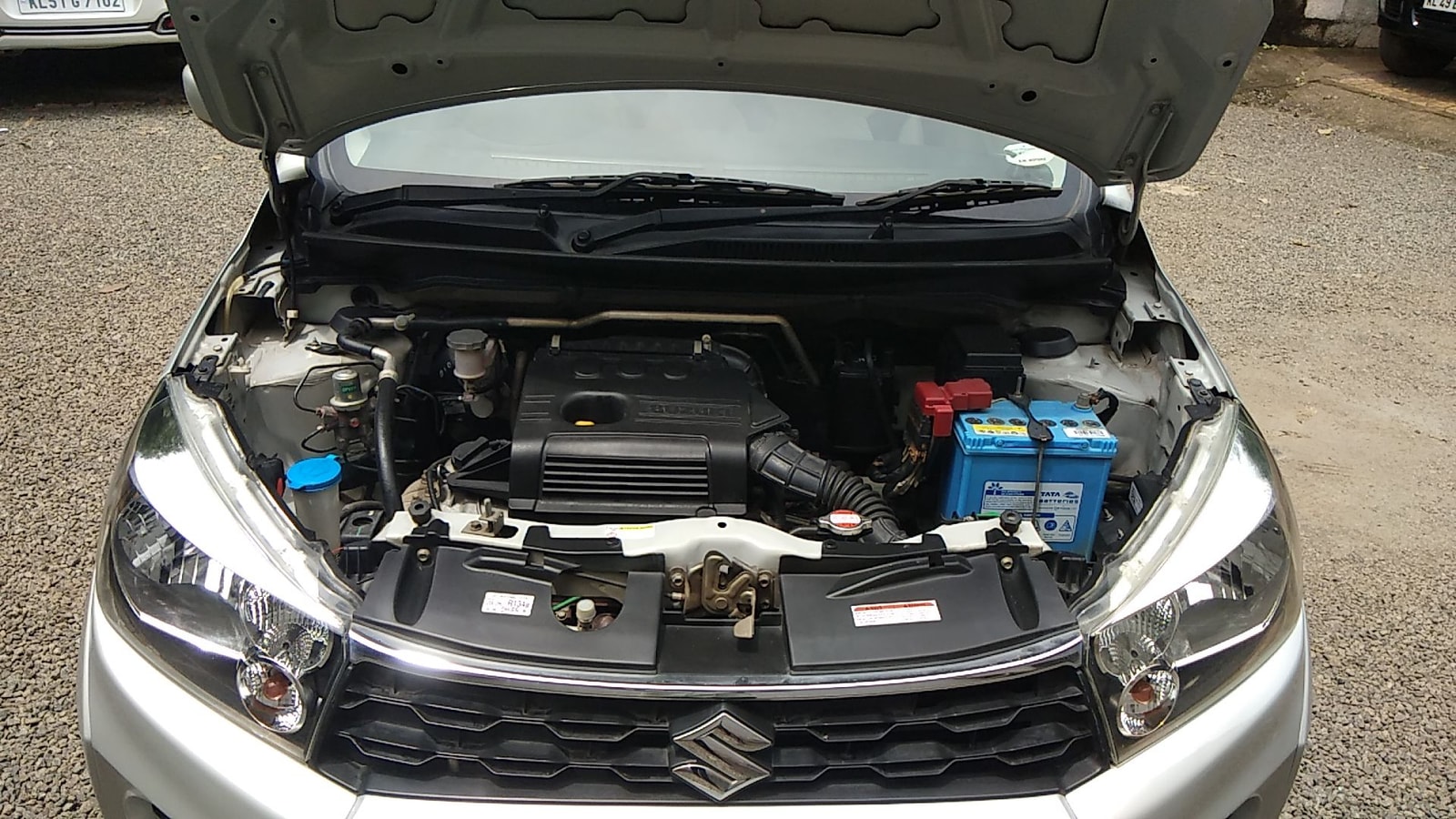 Celerio image 13 Celerio image 13