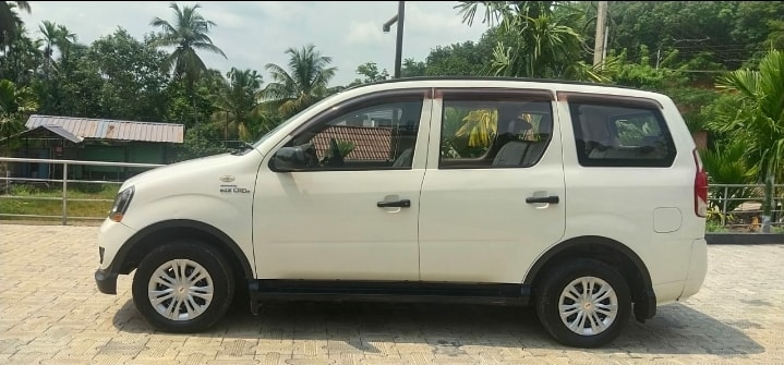 Xylo image 1 Xylo image 1