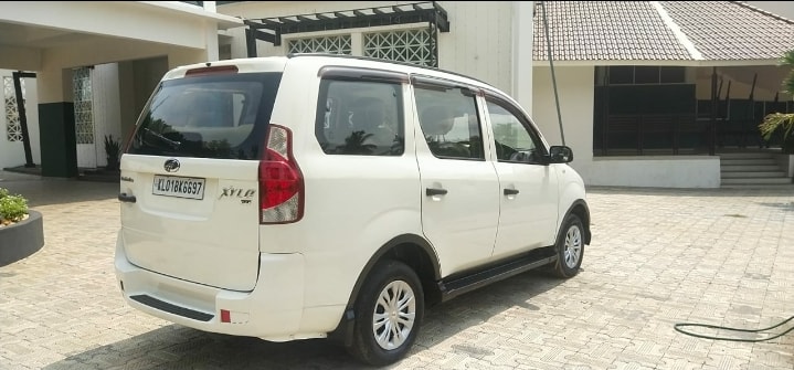 Xylo image 4 Xylo image 4