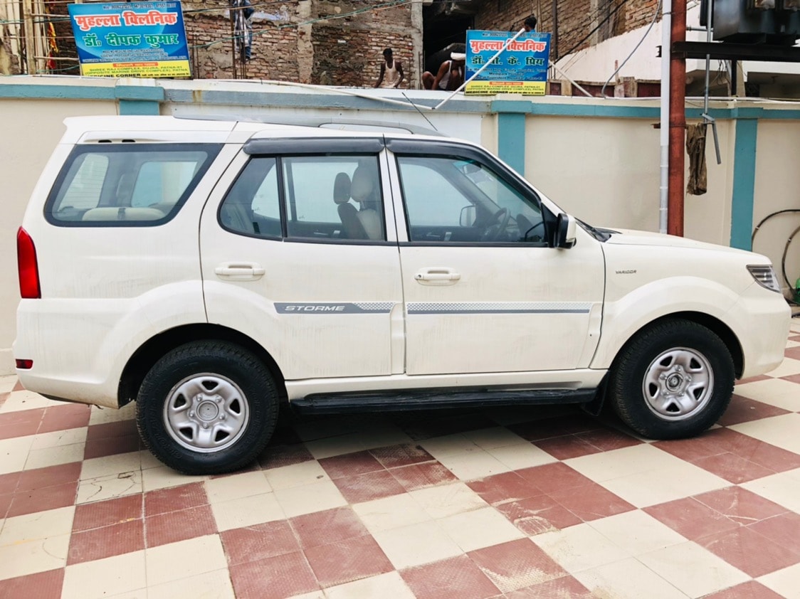 Safari Storme image 2 Safari Storme image 2