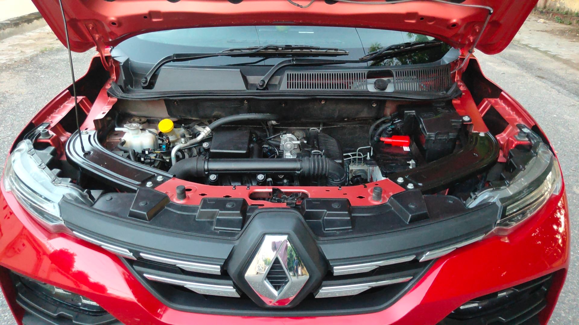 Kiger image 14 Kiger image 14